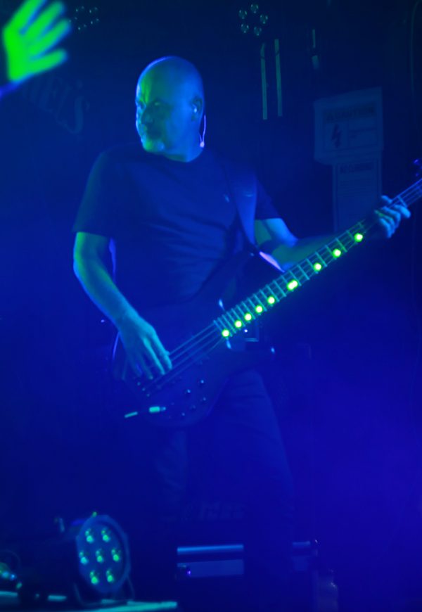 BeMUSEd live show